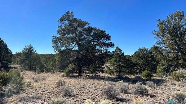12.5 Acres of Recreational & Residential Land for Sale in Pie Town, New Mexico