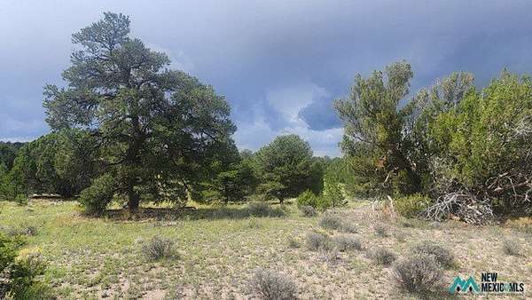 12.5 Acres of Recreational & Residential Land for Sale in Pie Town, New Mexico