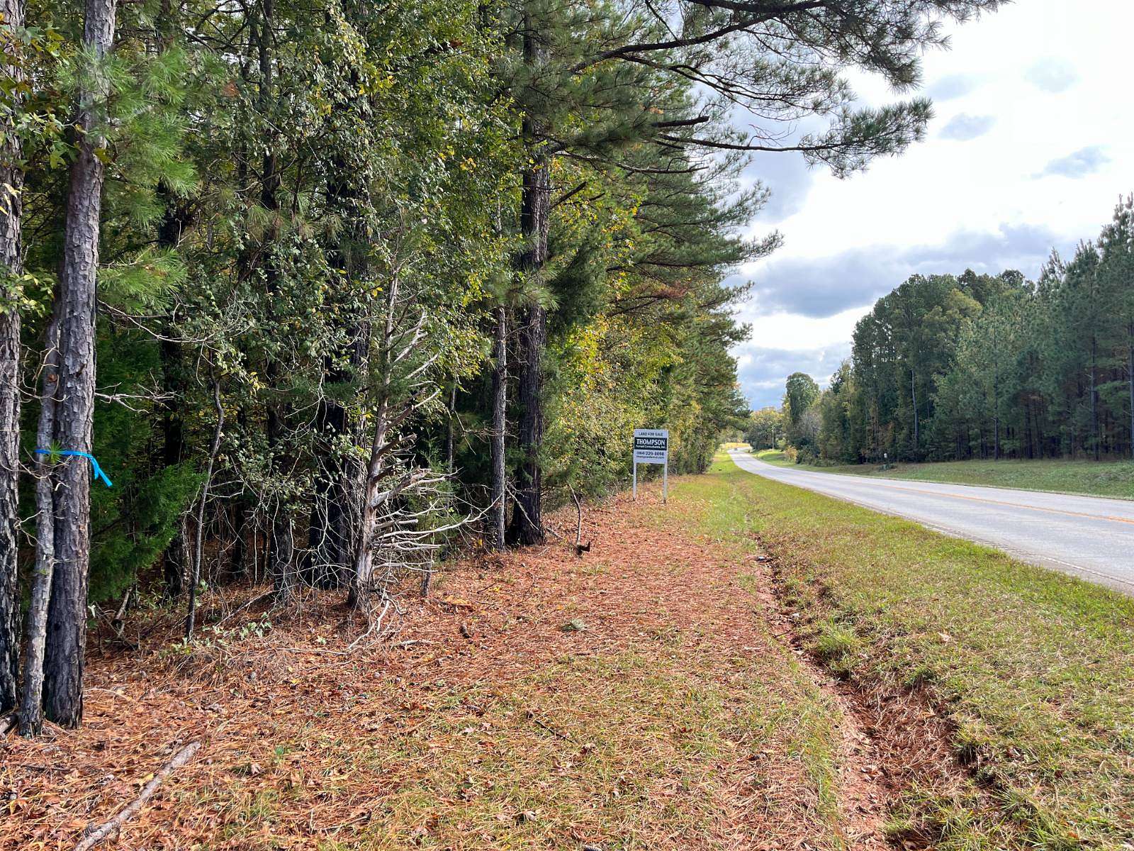16.5 Acres of Land for Sale in McCormick, South Carolina