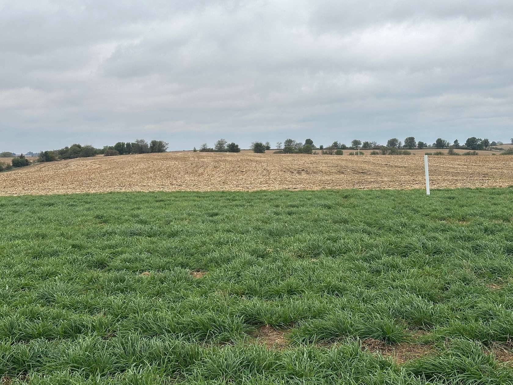 10.6 Acres of Land for Sale in Glenwood, Iowa