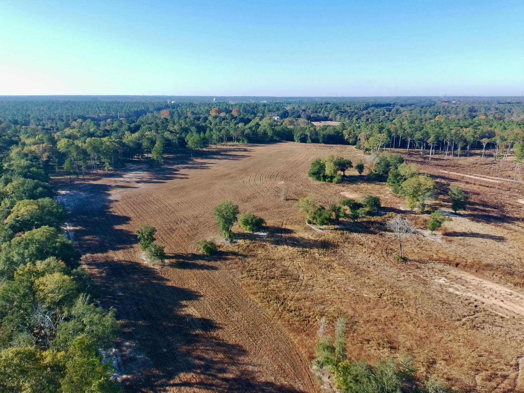 65 Acres of Agricultural Land for Sale in Aiken, South Carolina
