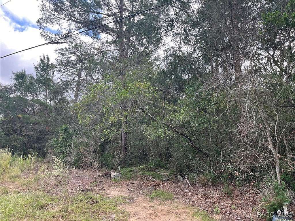 8.75 Acres of Residential Land for Sale in Inverness, Florida