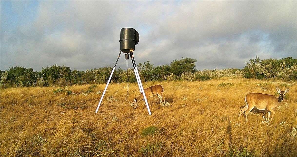 10 Acres of Recreational Land for Sale in San Diego, Texas