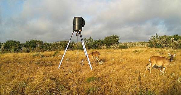 10 Acres of Recreational Land for Sale in San Diego, Texas