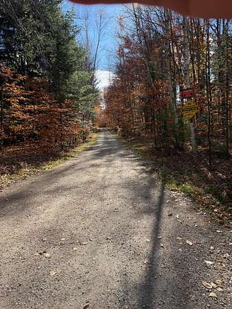 2.45 Acres of Land for Sale in Athelstane, Wisconsin