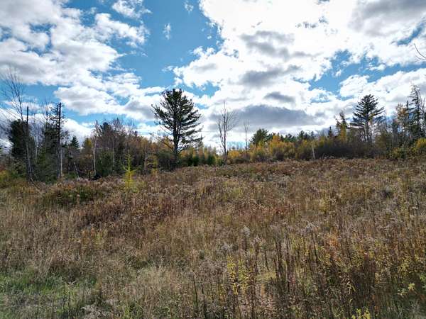35 Acres of Recreational Land for Sale in Kossuth Township, Maine