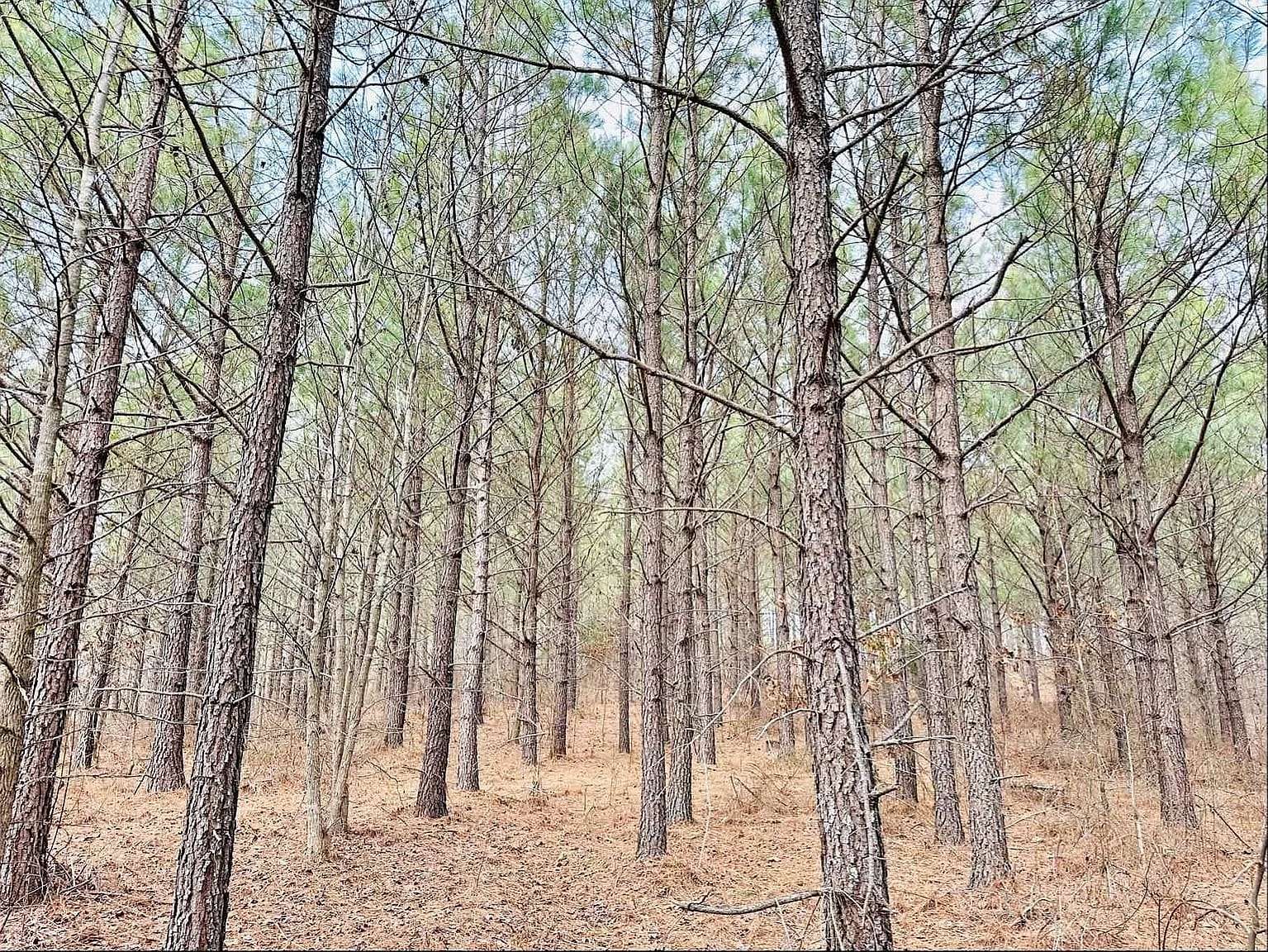 7.7 Acres of Residential Land for Sale in Dover, Tennessee