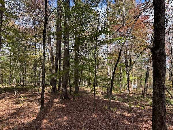 4.1 Acres of Land for Sale in Oxford, New York