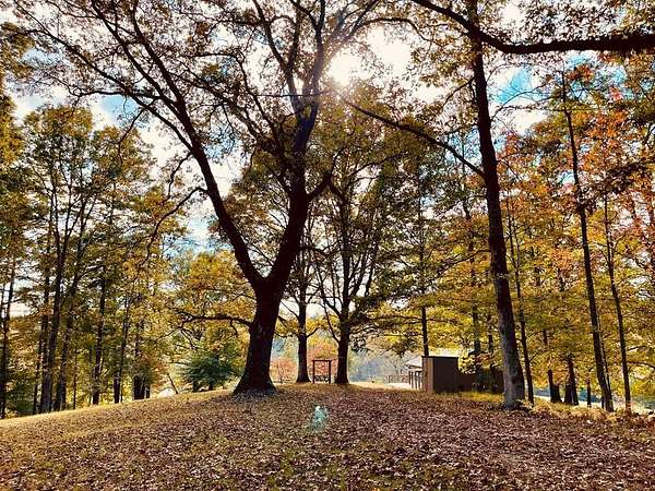 15.4 Acres of Land with Home for Sale in Blue Ridge, Georgia