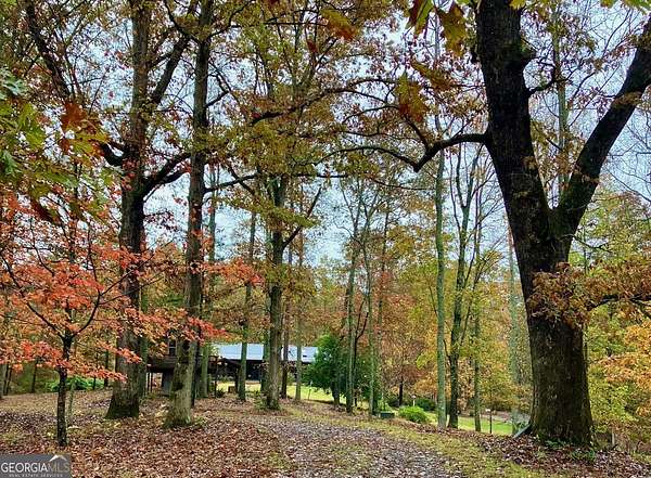 15.4 Acres of Land with Home for Sale in Blue Ridge, Georgia
