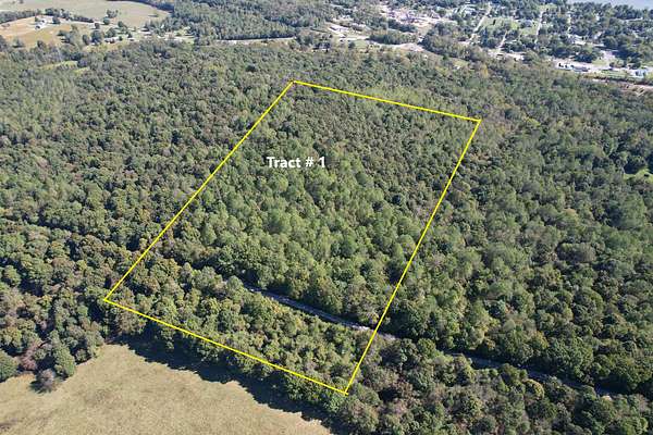 41 Acres of Recreational Land & Farm for Sale in Rosiclare, Illinois