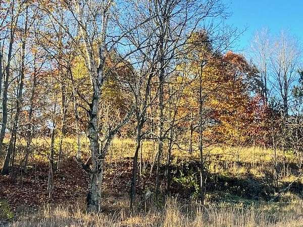 2.73 Acres of Residential Land for Sale in Copemish, Michigan