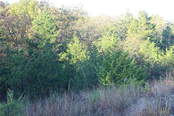 0.66 Acres of Residential Land for Sale in Rocky Mount, Missouri