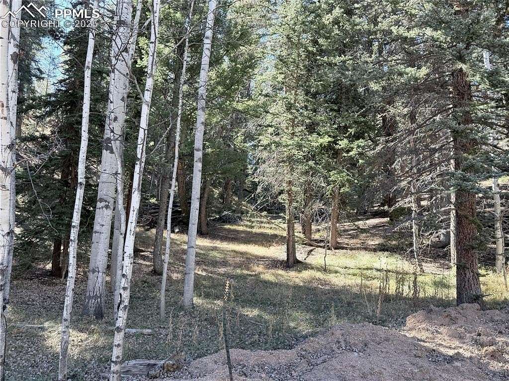 0.91 Acres of Land for Sale in Woodland Park, Colorado
