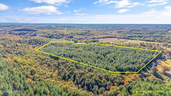 38 Acres of Land for Sale in Sunbright, Tennessee
