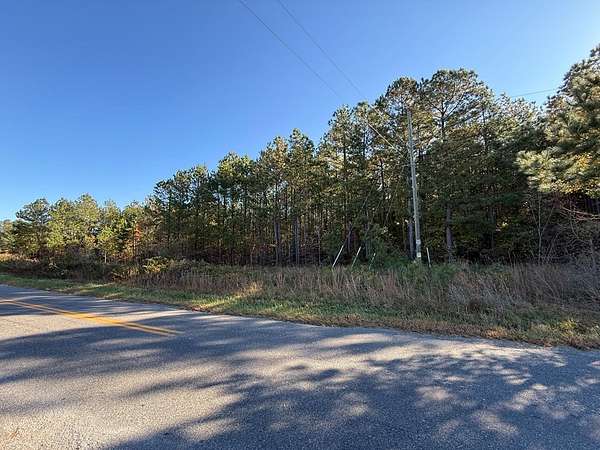 44.6 Acres of Land for Sale in Amelia Court House, Virginia