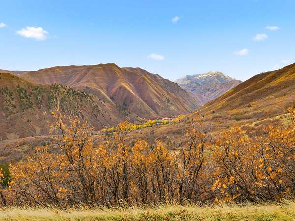 1.37 Acres of Land for Sale in Springville, Utah