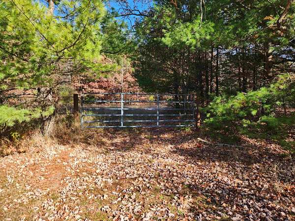 92 Acres of Recreational & Residential Land for Sale in Mount Pleasant, Michigan
