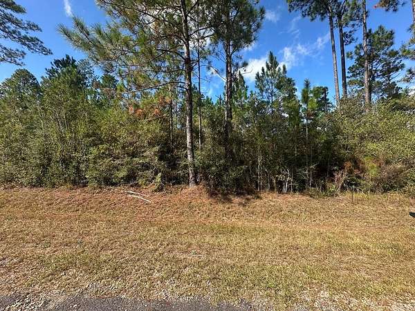 5.2 Acres of Residential Land for Sale in Perkinston, Mississippi