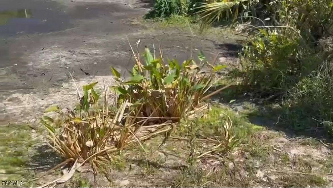 0.5 Acres of Residential Land for Sale in Lehigh Acres, Florida