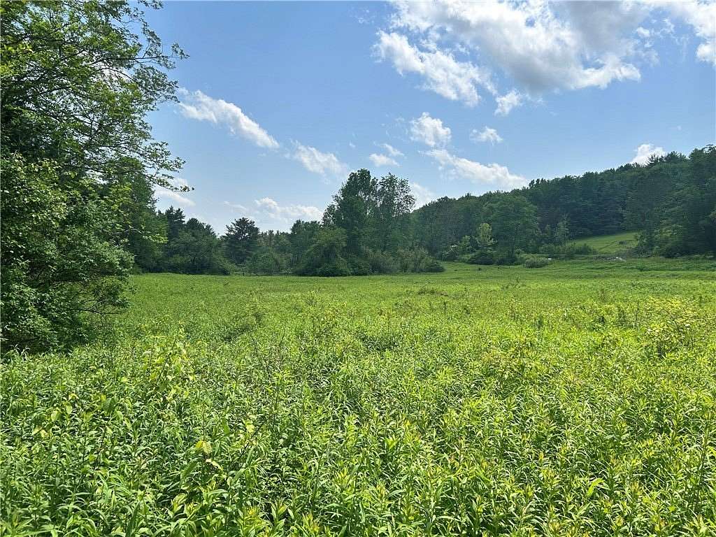 5.7 Acres of Land for Sale in Gilbertsville, New York