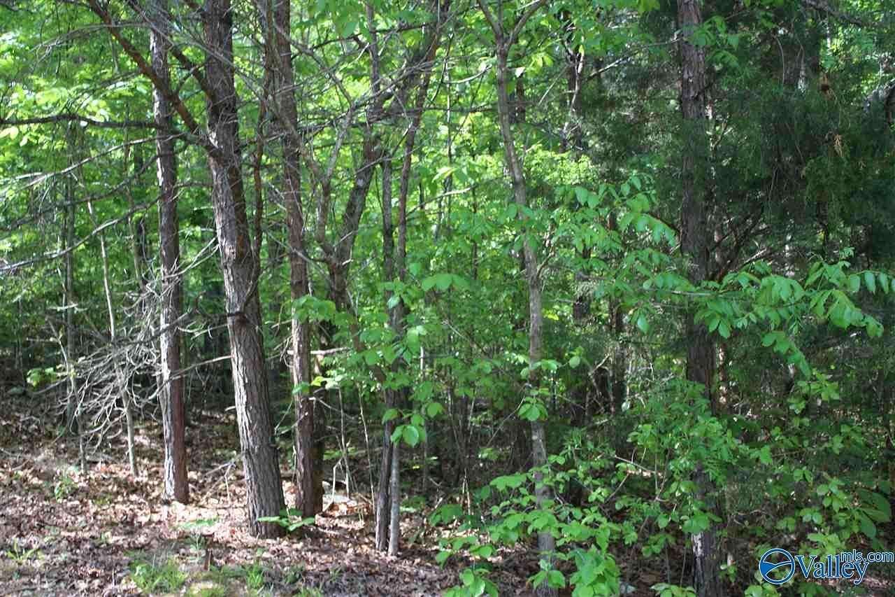0.34 Acres of Residential Land for Sale in Valley Head, Alabama