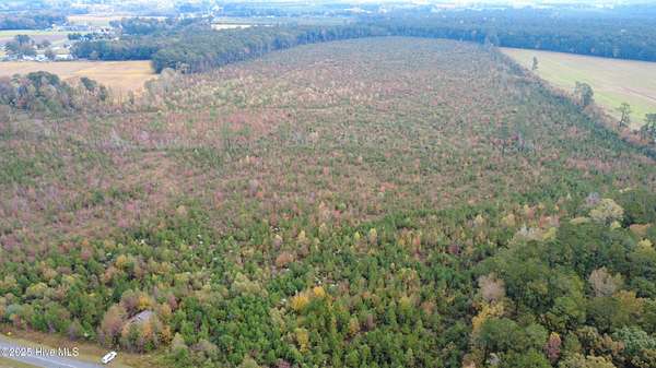31.2 Acres of Recreational Land for Sale in Williamston, North Carolina