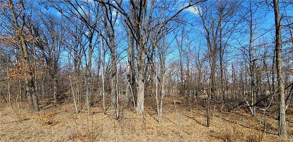 12.5 Acres of Recreational & Residential Land for Sale in Ottertail, Minnesota