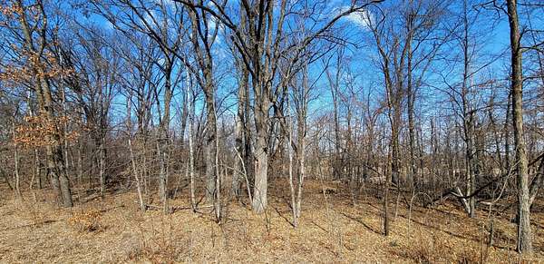12.5 Acres of Recreational & Residential Land for Sale in Ottertail, Minnesota