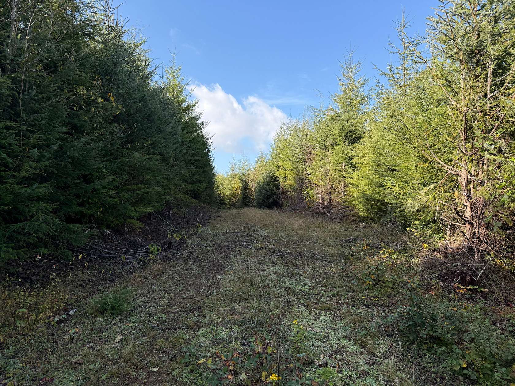 20 Acres of Recreational Land for Sale in Seaside, Oregon