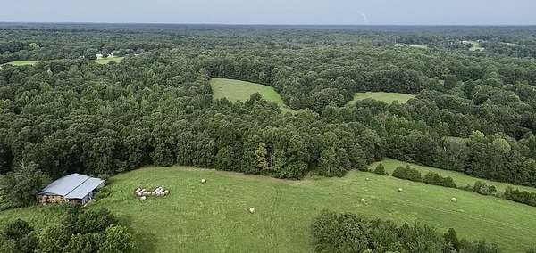 30 Acres of Agricultural Land for Sale in Cumberland Furnace, Tennessee
