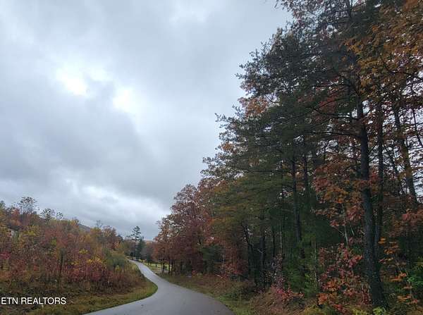 34.8 Acres of Agricultural Land for Sale in Oneida, Tennessee