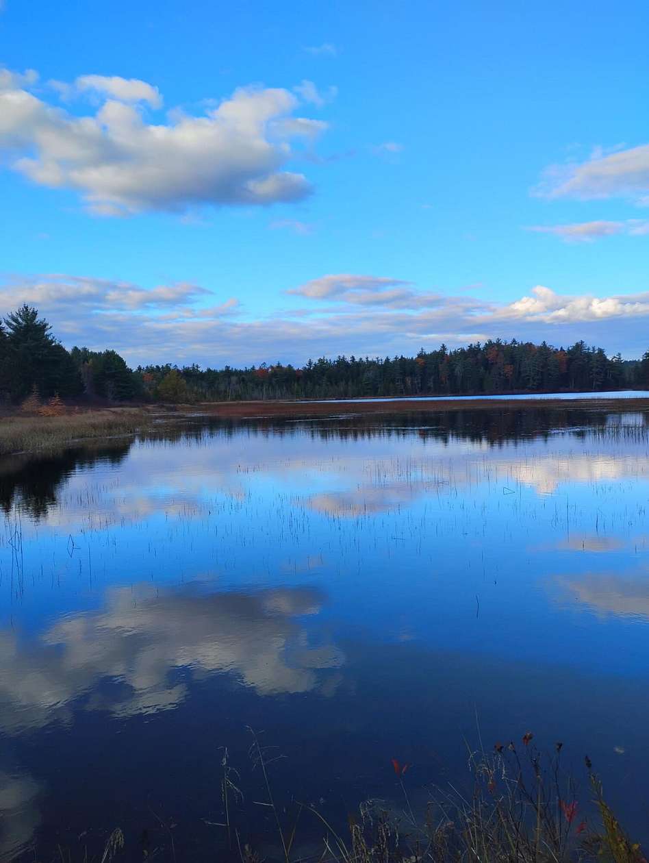 12 Acres of Recreational Land for Sale in Great Pond, Maine