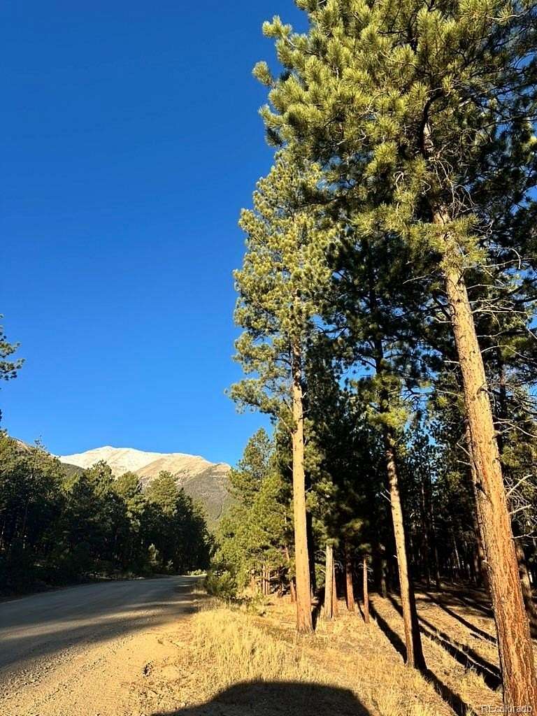 5 Acres of Residential Land for Sale in Buena Vista, Colorado