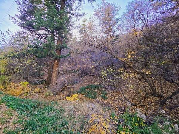 3 Acres of Residential Land for Sale in Pocatello, Idaho