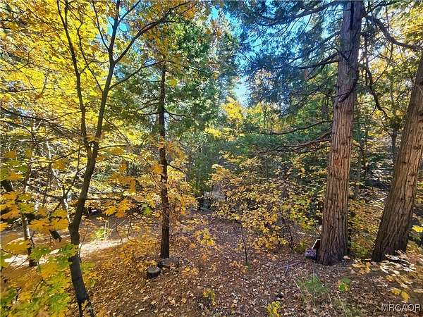 0.22 Acres of Residential Land for Sale in Lake Arrowhead, California