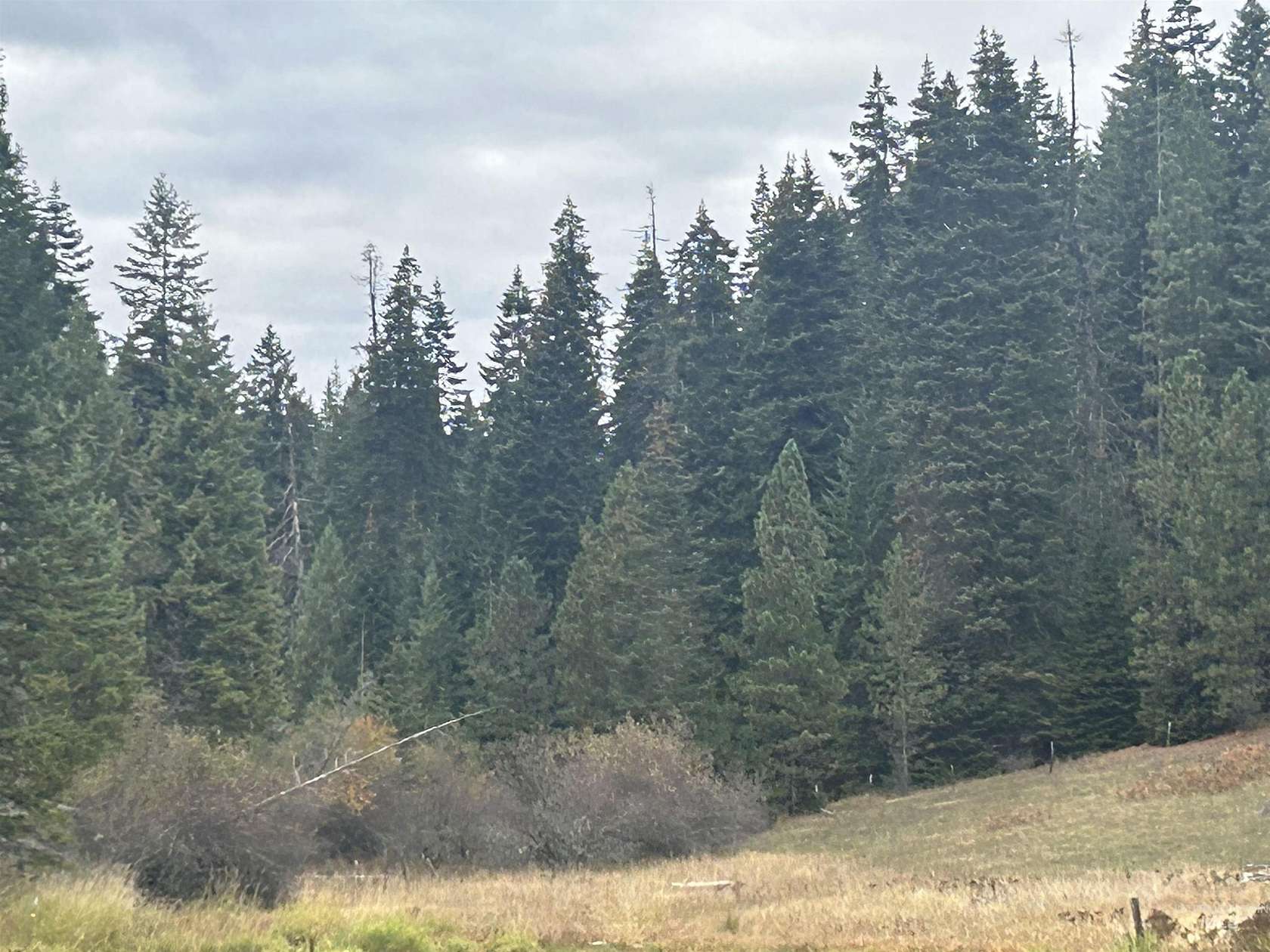 10.2 Acres of Land for Sale in Kamiah, Idaho