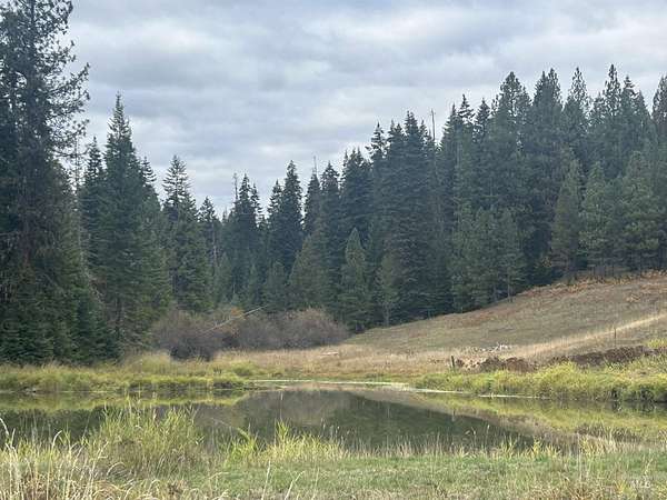 10.2 Acres of Land for Sale in Kamiah, Idaho