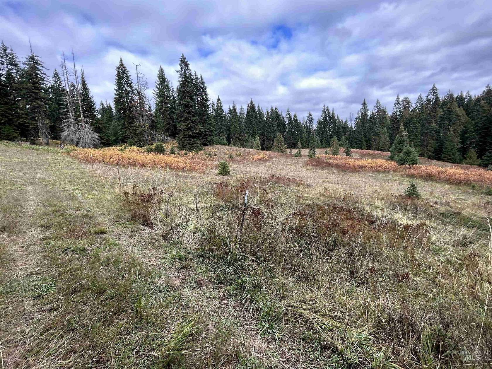 10 Acres of Recreational & Residential Land for Sale in Kamiah, Idaho