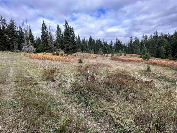 10 Acres of Recreational Land for Sale in Kamiah, Idaho