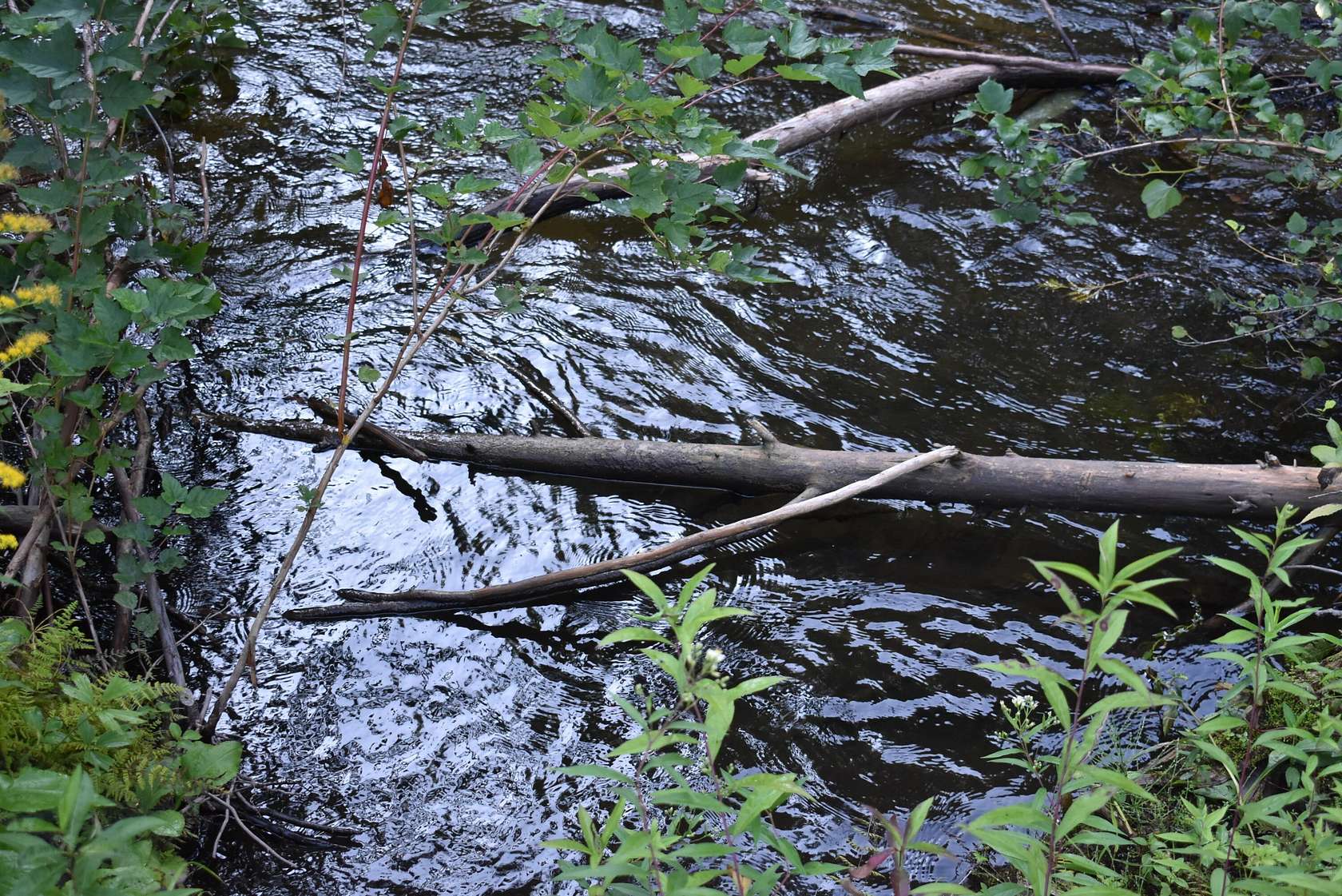 2.7 Acres of Residential Land for Sale in Wolverine, Michigan