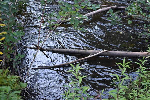 2.7 Acres of Residential Land for Sale in Wolverine, Michigan