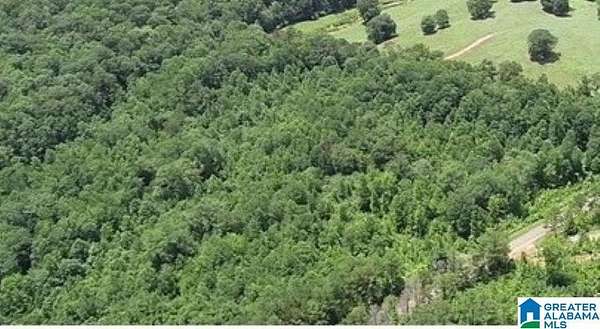 38 Acres of Land for Sale in Wedowee, Alabama
