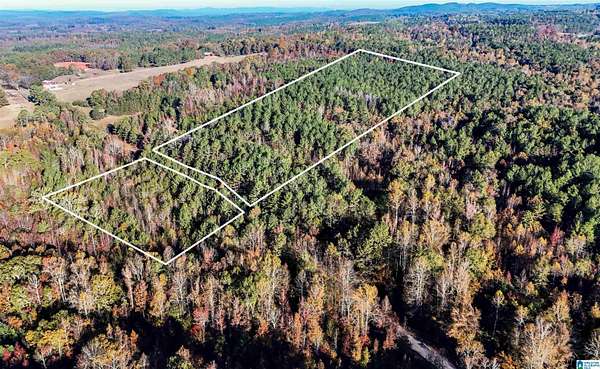 38 Acres of Land for Sale in Wedowee, Alabama