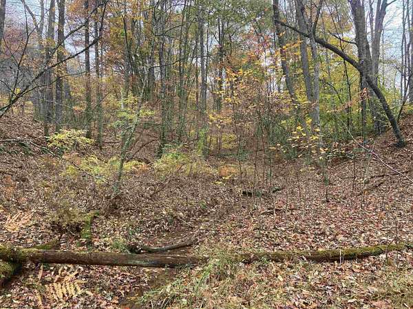 1.36 Acres of Residential Land for Sale in Elkins, West Virginia