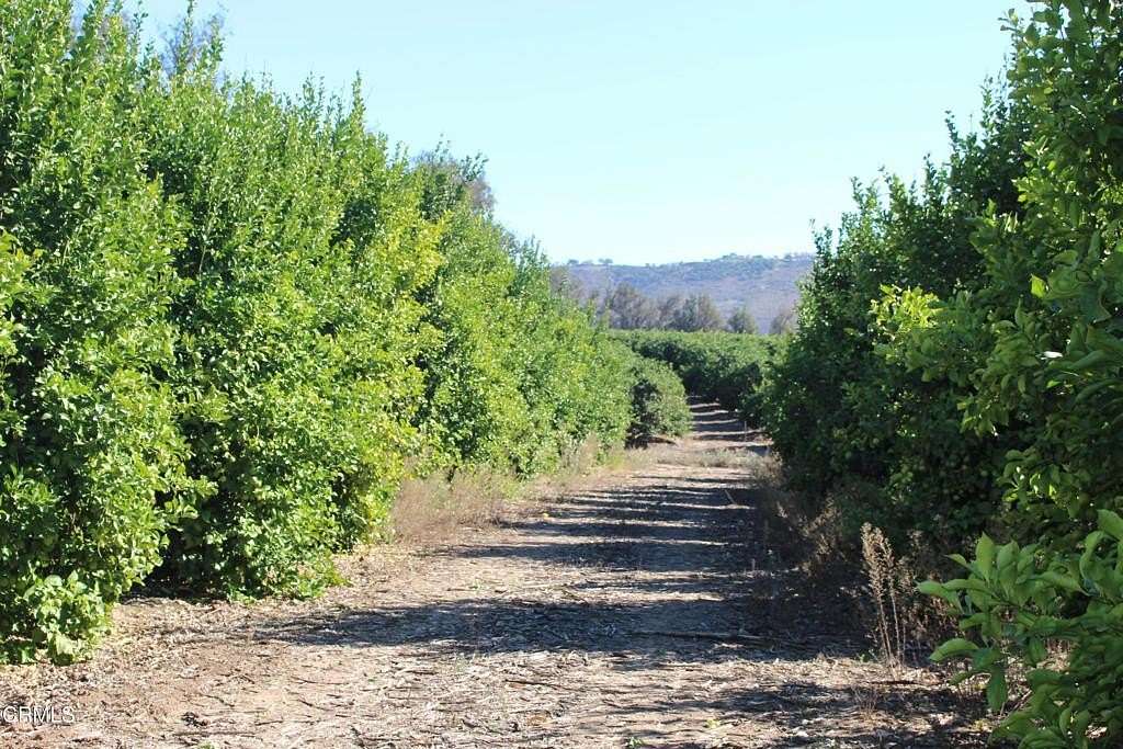 23.7 Acres of Agricultural Land for Sale in Somis, California