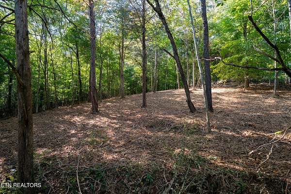 0.97 Acres of Residential Land for Sale in Loudon, Tennessee