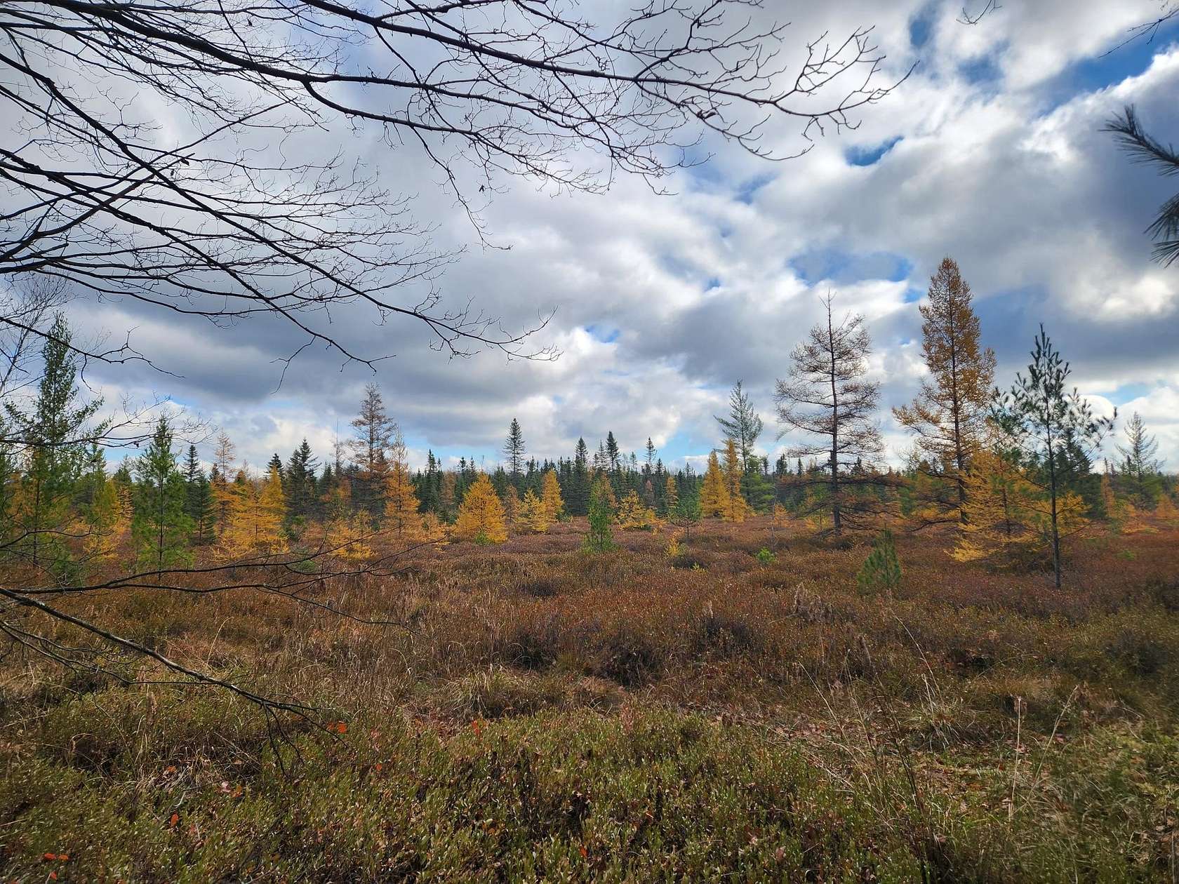 12.1 Acres of Recreational Land for Sale in Lake, Michigan