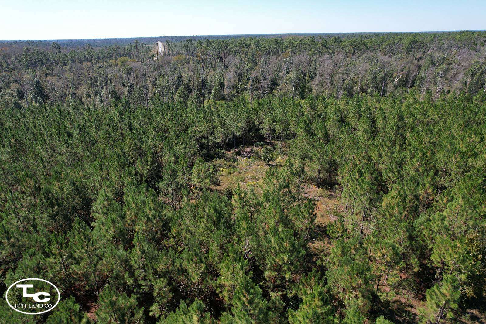 13.8 Acres of Recreational Land for Sale in Blountstown, Florida