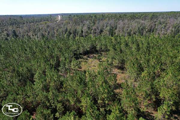 13.8 Acres of Recreational Land for Sale in Blountstown, Florida